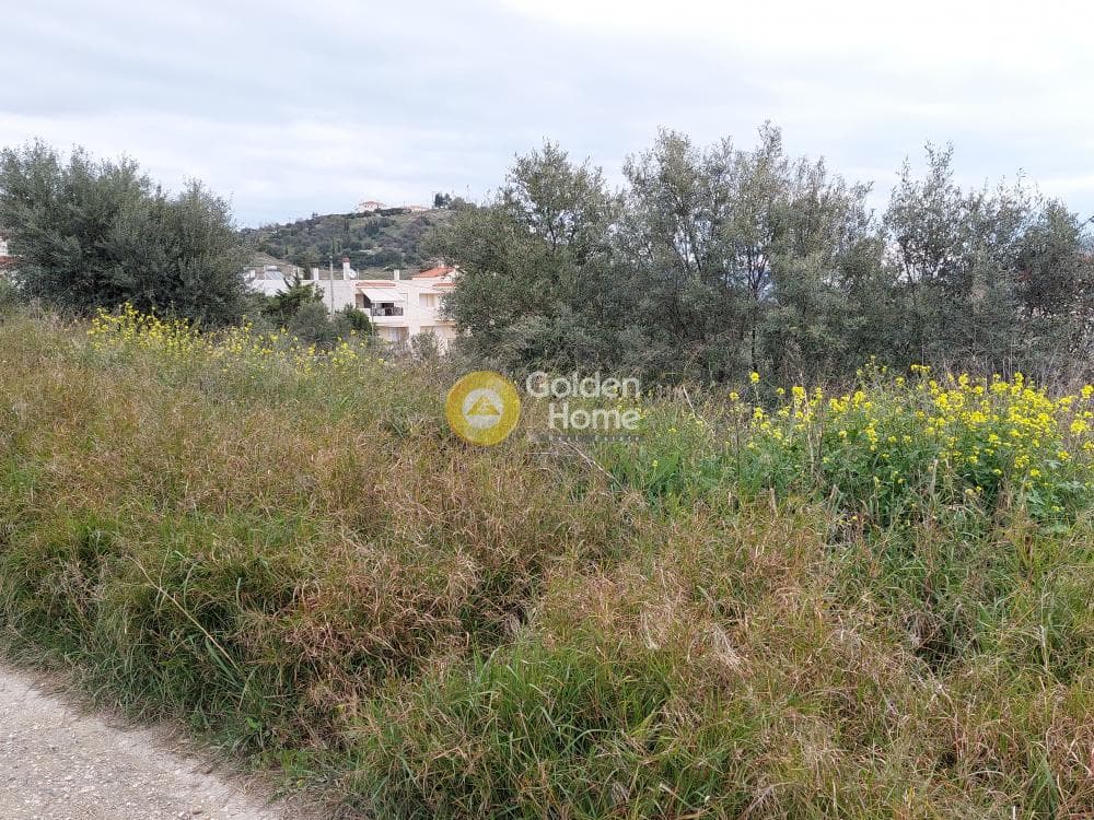 Building Plot in Center, Markopoulo — Photo 17 of 20
