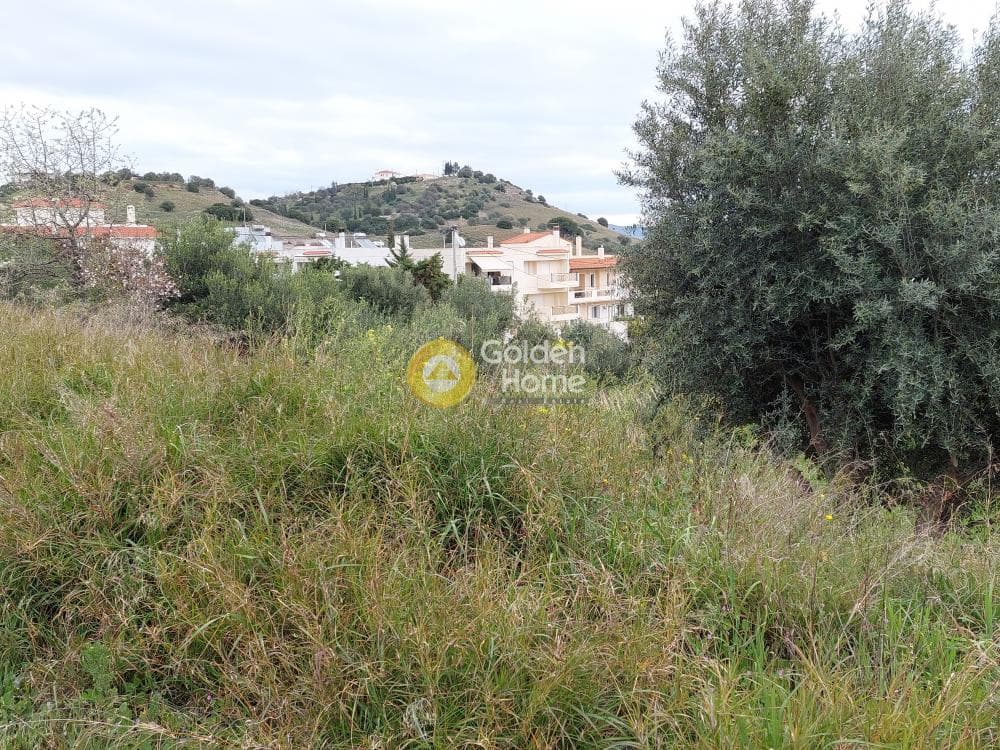 Building Plot in Center, Markopoulo — Photo 18 of 20