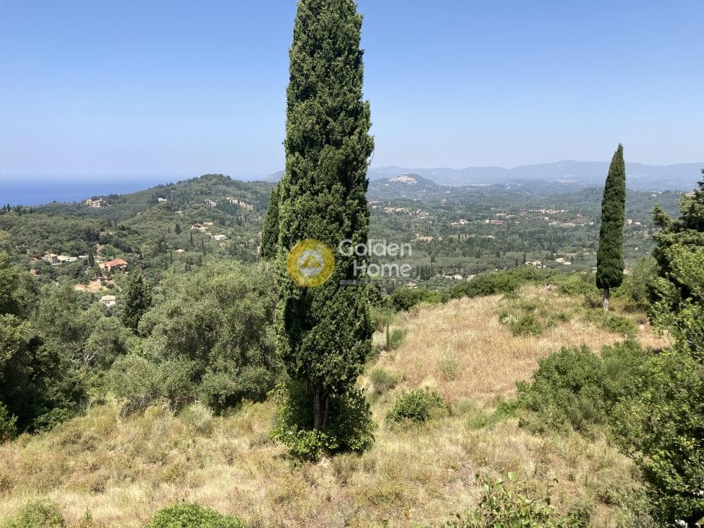 Parcel in Achilleio, Corfu — Photo 8 of 12