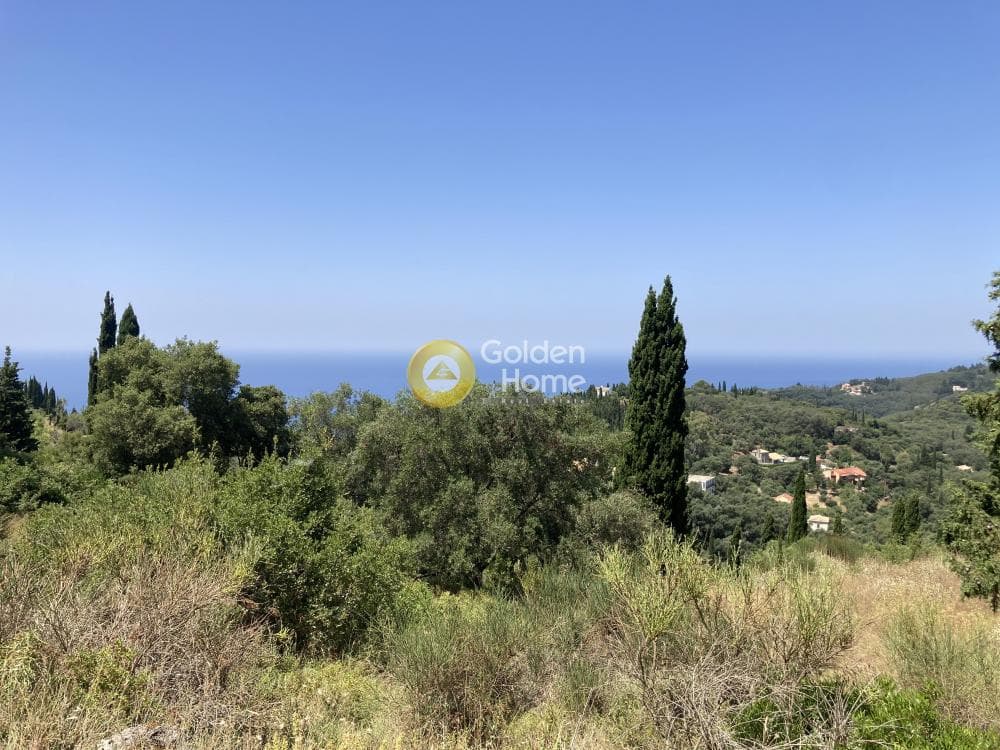 Parcel in Achilleio, Corfu — Photo 7 of 12