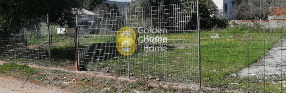 Αγροτεμάχιο στην Άνω Σούλι, Γραμματικό