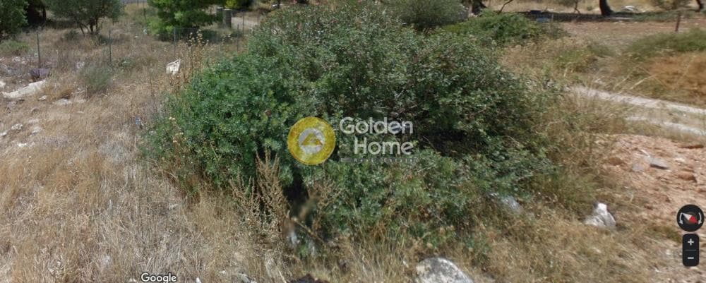 Αγροτεμάχιο στην Πάτημα, Χαλάνδρι