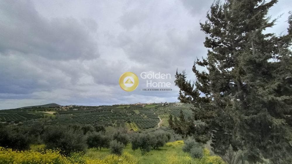 Building Plot in Elia, Episkopi — Photo 4 of 5