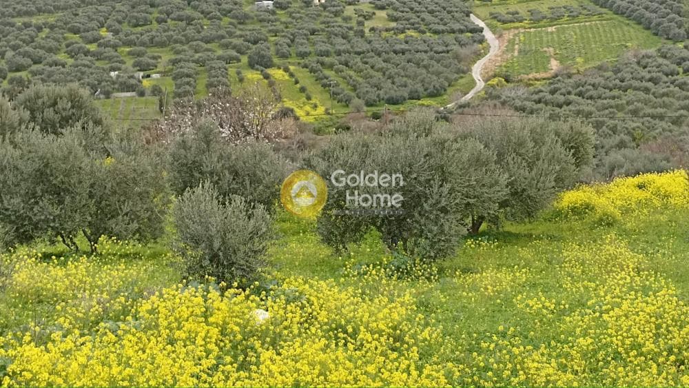 Building Plot in Elia, Episkopi — Photo 5 of 5