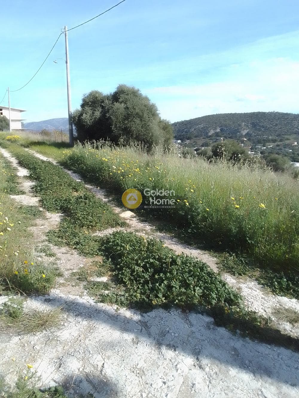 Parcel in Lamprika, Koropi — Photo 5 of 5