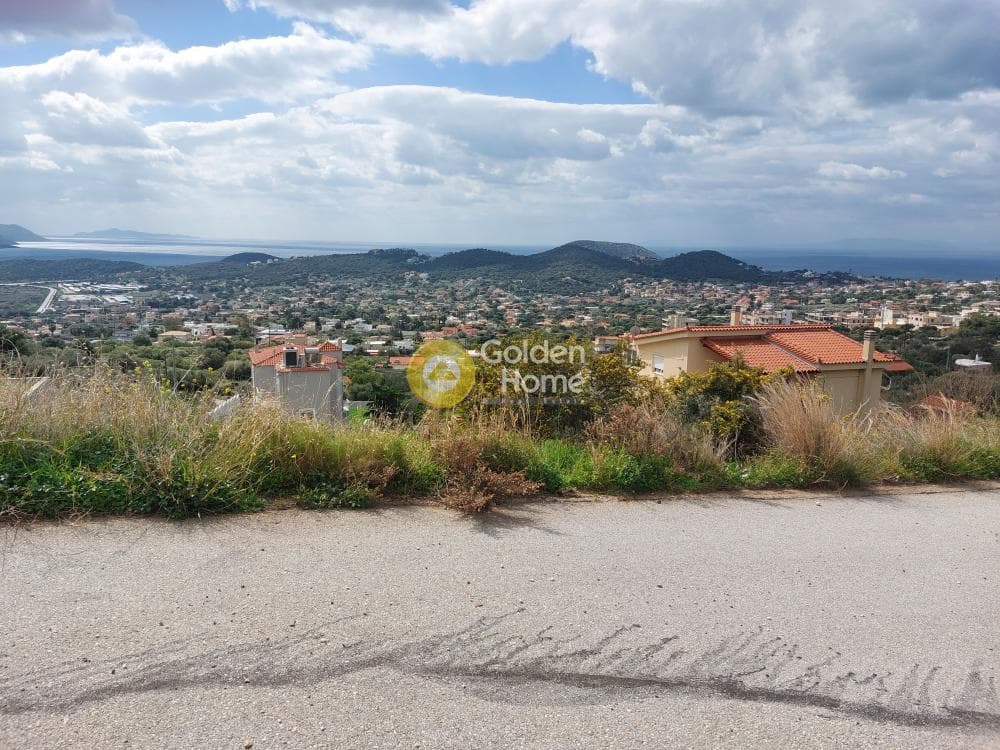 Building Plot in Elaionas, Anavissos — Photo 1 of 4