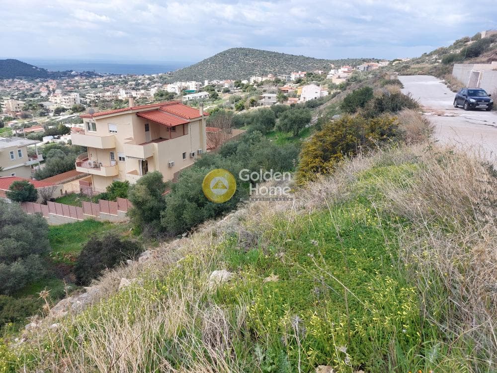 Building Plot in Elaionas, Anavissos — Photo 4 of 4