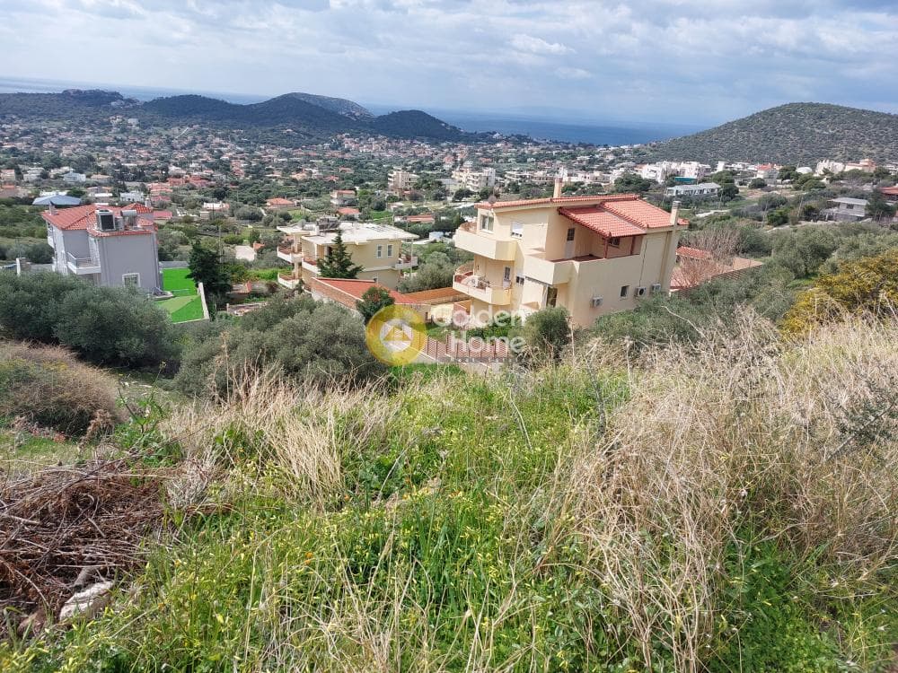 Building Plot in Elaionas, Anavissos — Photo 3 of 4