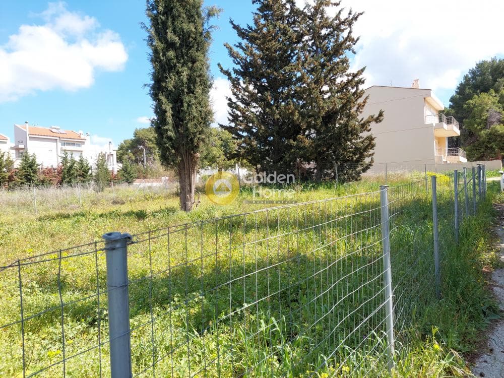 Οικόπεδο στην Αδάμες (Οικισμός Πελοποννησίων), Κηφισιά — Φωτογραφία 6 από 13
