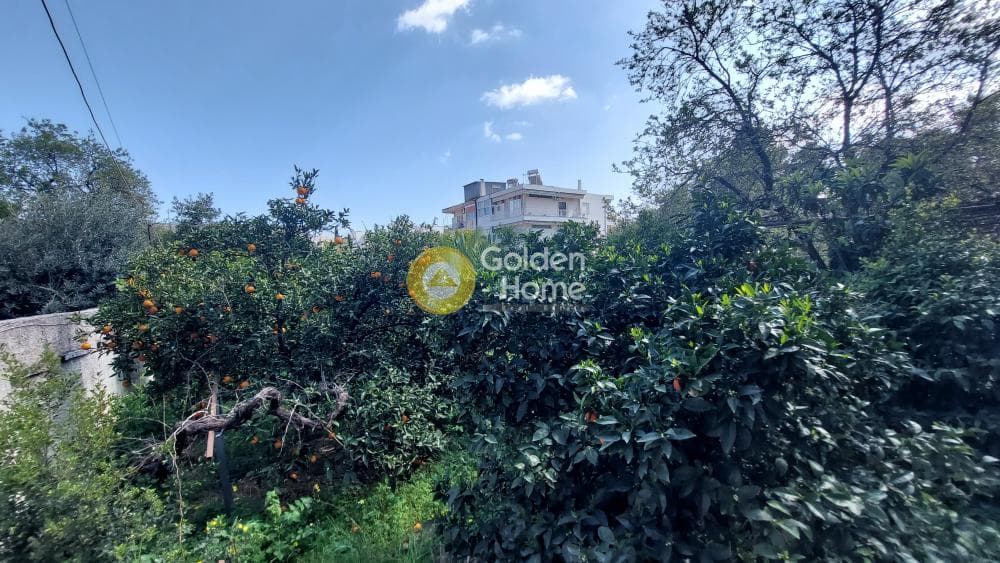 Οικόπεδο στην Άνω Μπαλάνα, Παλλήνη — Φωτογραφία 5 από 22