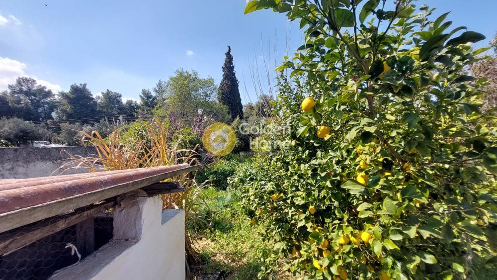 Οικόπεδο στην Άνω Μπαλάνα, Παλλήνη — Φωτογραφία 12 από 22
