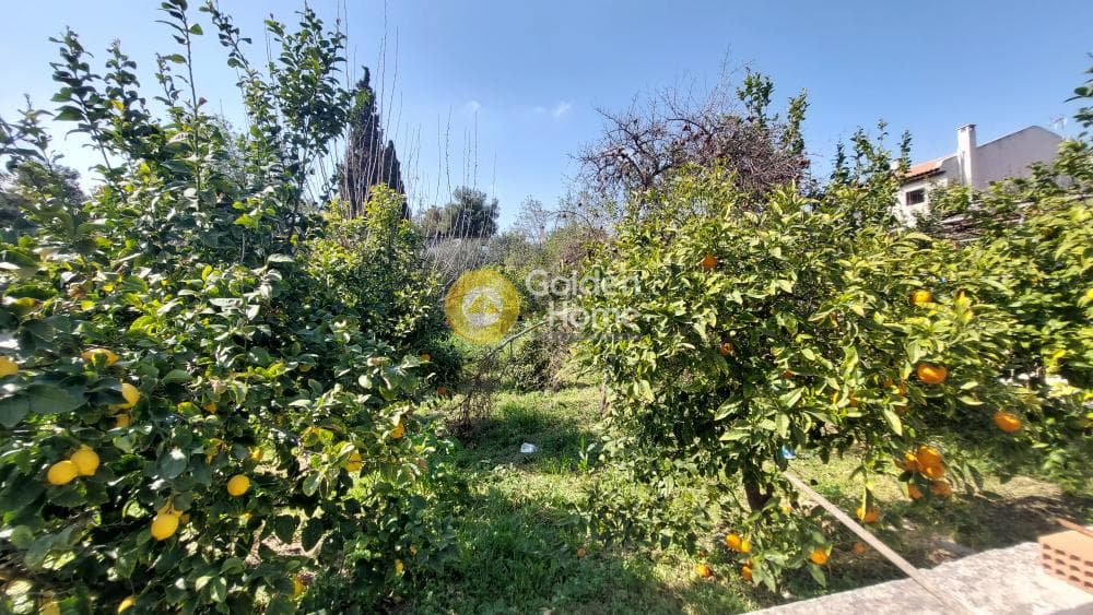 Οικόπεδο στην Άνω Μπαλάνα, Παλλήνη — Φωτογραφία 13 από 22