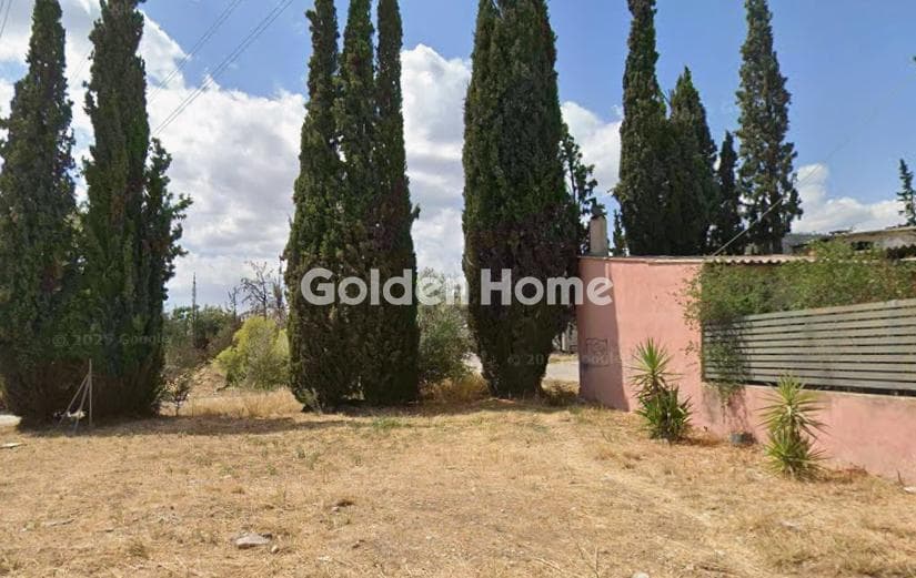 Building Plot in Megala Sxoinia A, Acharnes — Photo 1 of 3