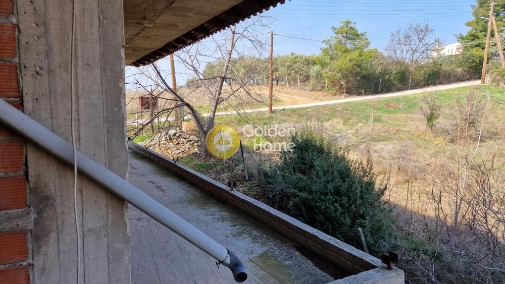 House in Center, Panorama — Photo 9 of 13