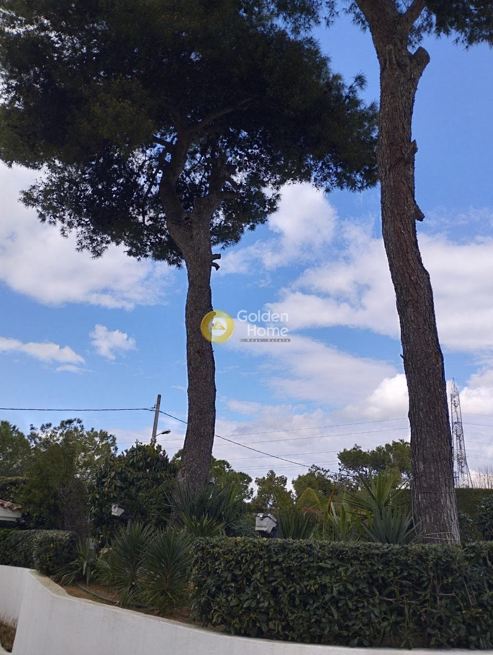 Μονοκατοικία στην Αδάμες (Οικισμός Πελοποννησίων), Κηφισιά — Φωτογραφία 69 από 78