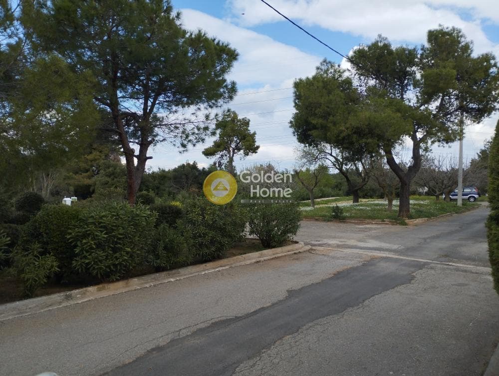 Μονοκατοικία στην Αδάμες (Οικισμός Πελοποννησίων), Κηφισιά — Φωτογραφία 74 από 78