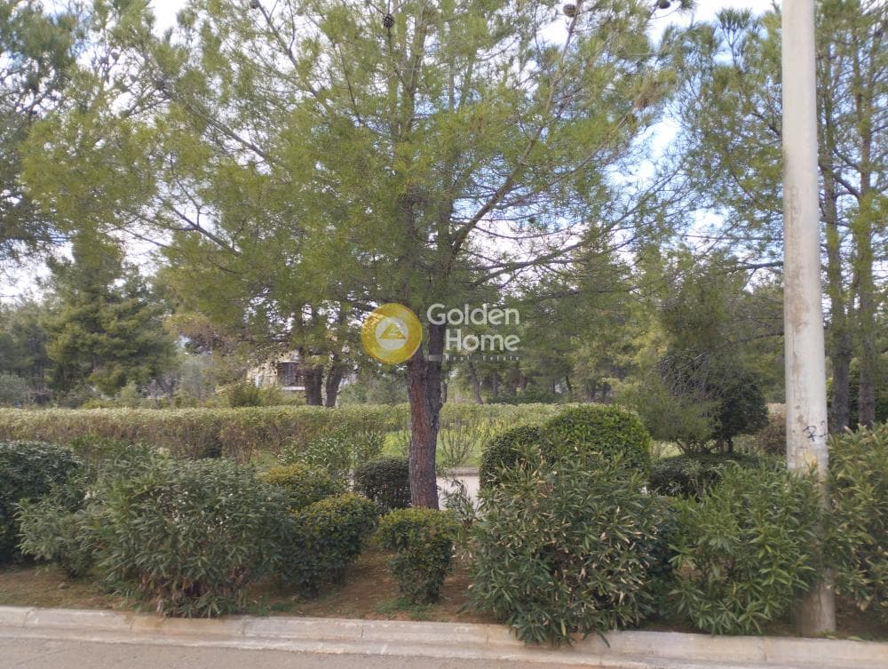 Μονοκατοικία στην Αδάμες (Οικισμός Πελοποννησίων), Κηφισιά — Φωτογραφία 76 από 78