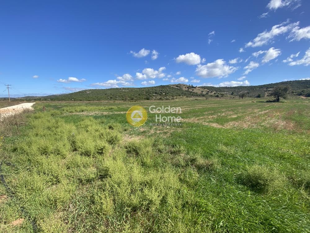 Parcel in Drosia, Distos — Photo 1 of 17