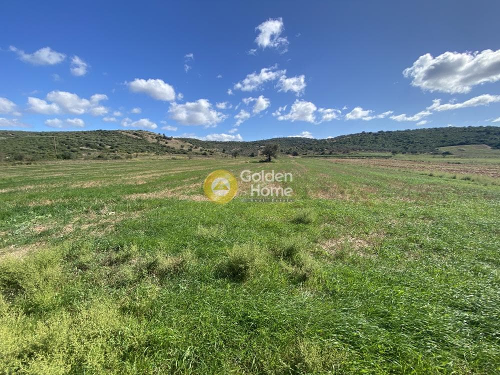 Parcel in Drosia, Distos — Photo 4 of 17