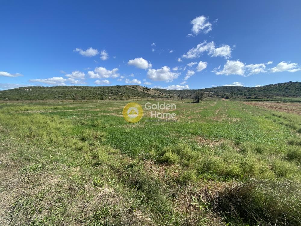 Parcel in Drosia, Distos — Photo 5 of 17