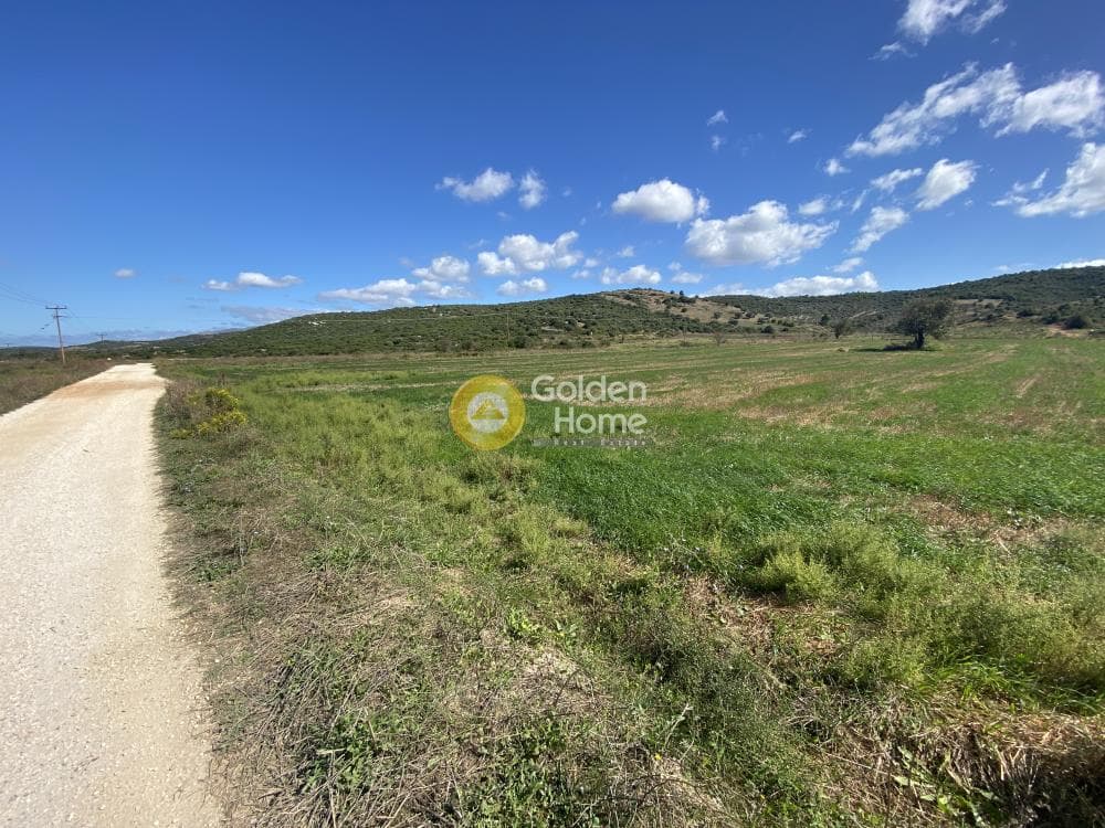 Parcel in Drosia, Distos — Photo 2 of 17