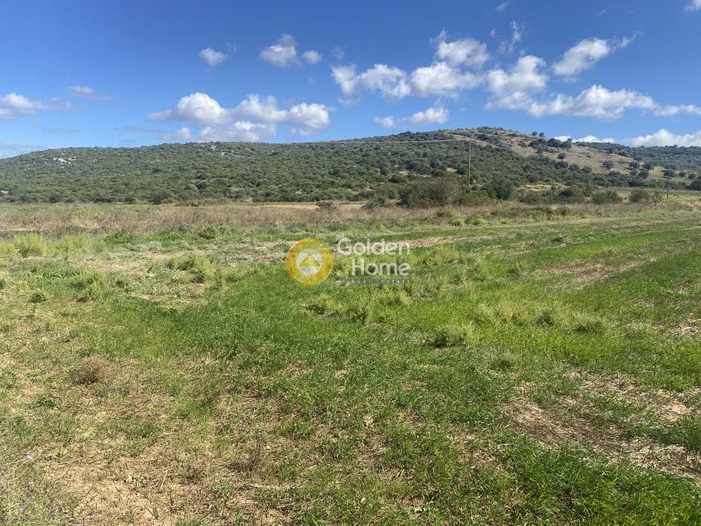 Parcel in Drosia, Distos — Photo 6 of 17