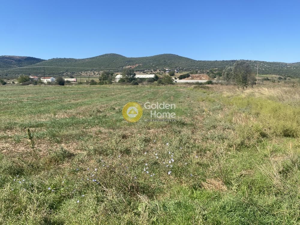 Parcel in Drosia, Distos — Photo 8 of 17