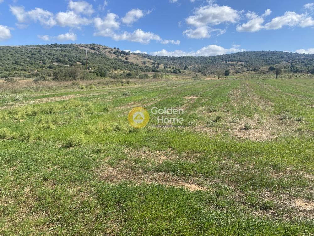 Parcel in Drosia, Distos — Photo 9 of 17