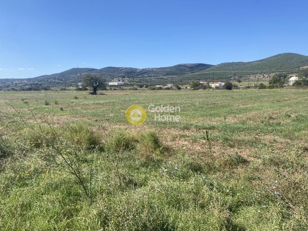 Parcel in Drosia, Distos — Photo 10 of 17