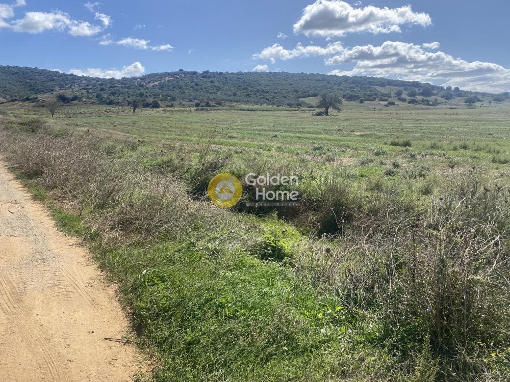 Parcel in Drosia, Distos — Photo 12 of 17