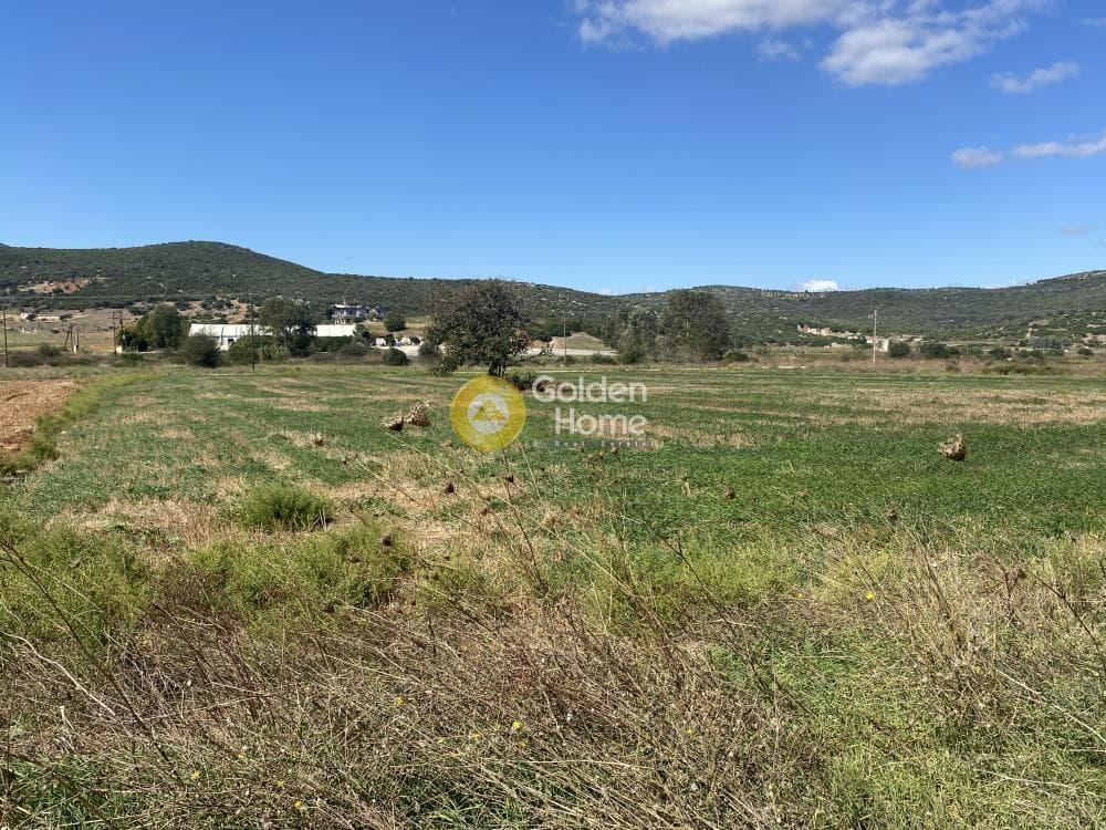 Parcel in Drosia, Distos — Photo 14 of 17