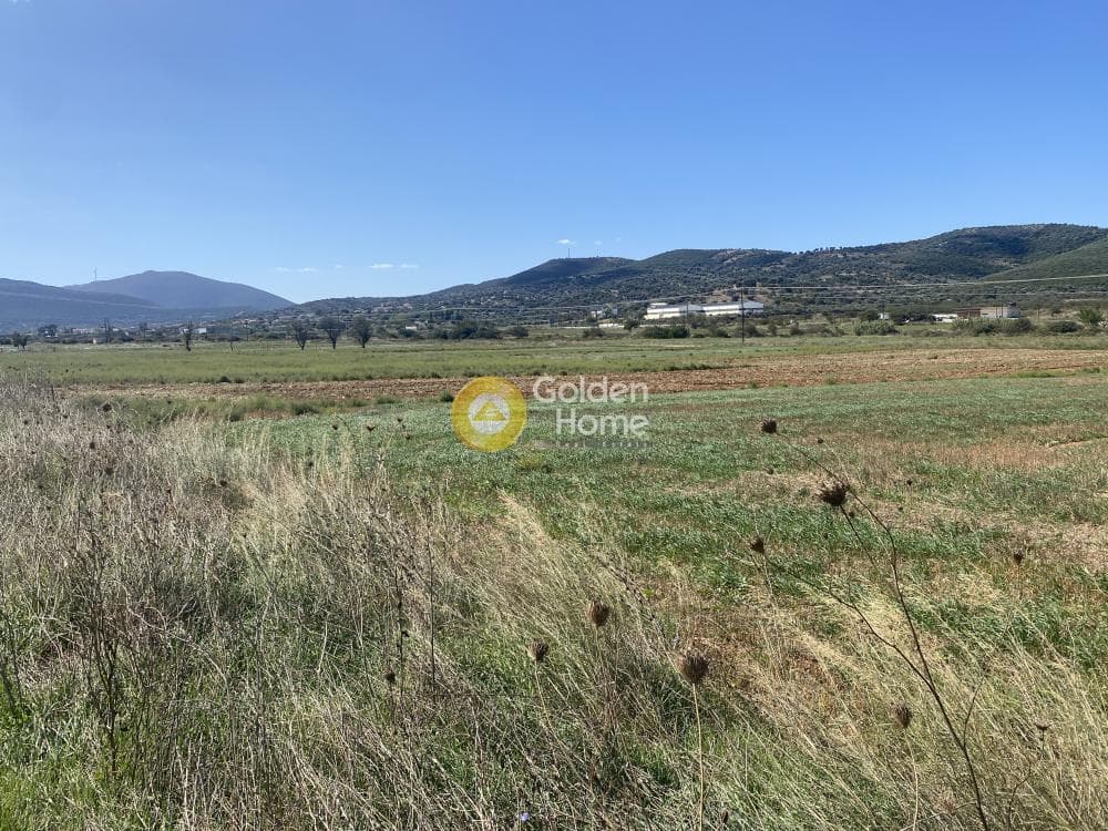 Parcel in Drosia, Distos — Photo 16 of 17