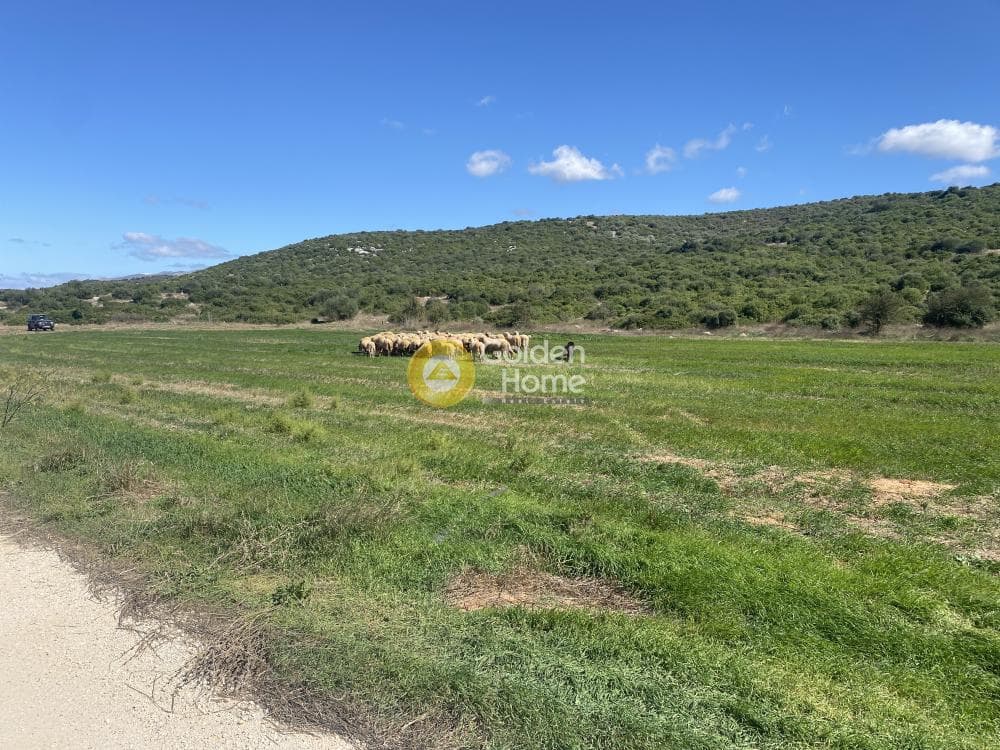 Parcel in Lepoira, Distos — Photo 2 of 10