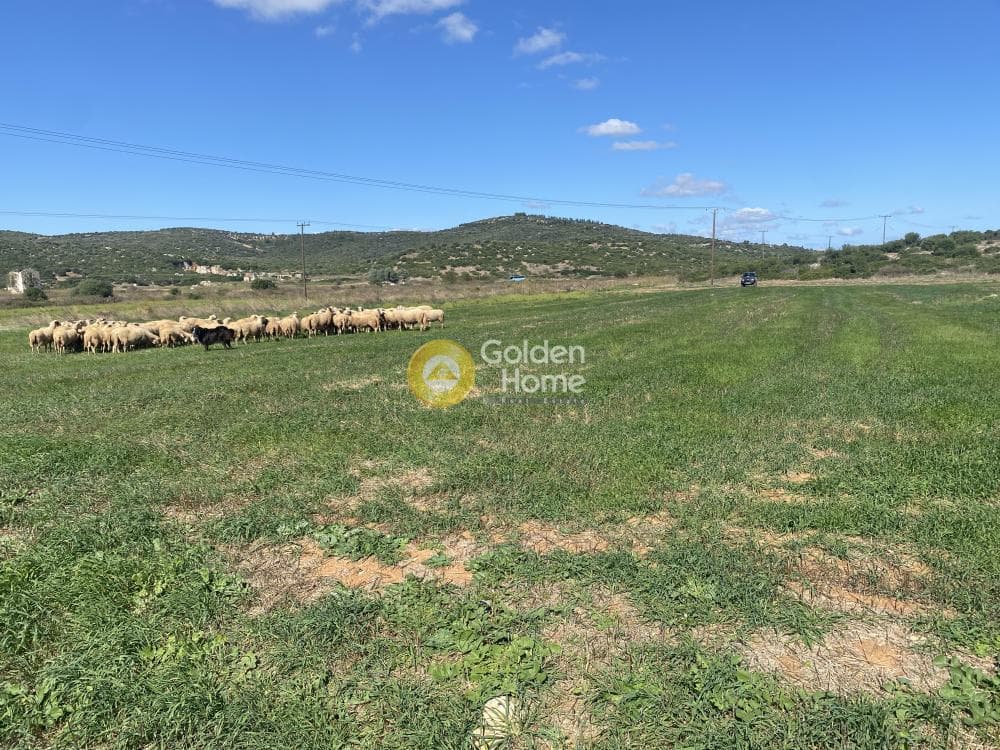 Parcel in Lepoira, Distos — Photo 6 of 10