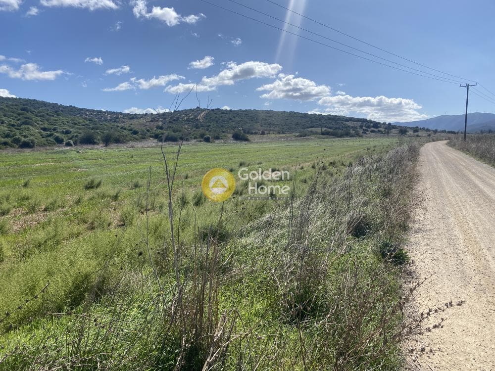 Parcel in Lepoira, Distos — Photo 9 of 10