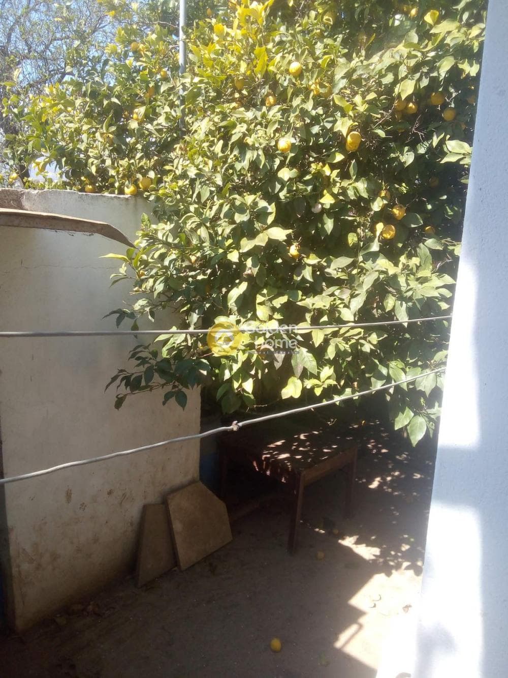 House in Ikismos Aiolos, Rafina — Photo 19 of 22