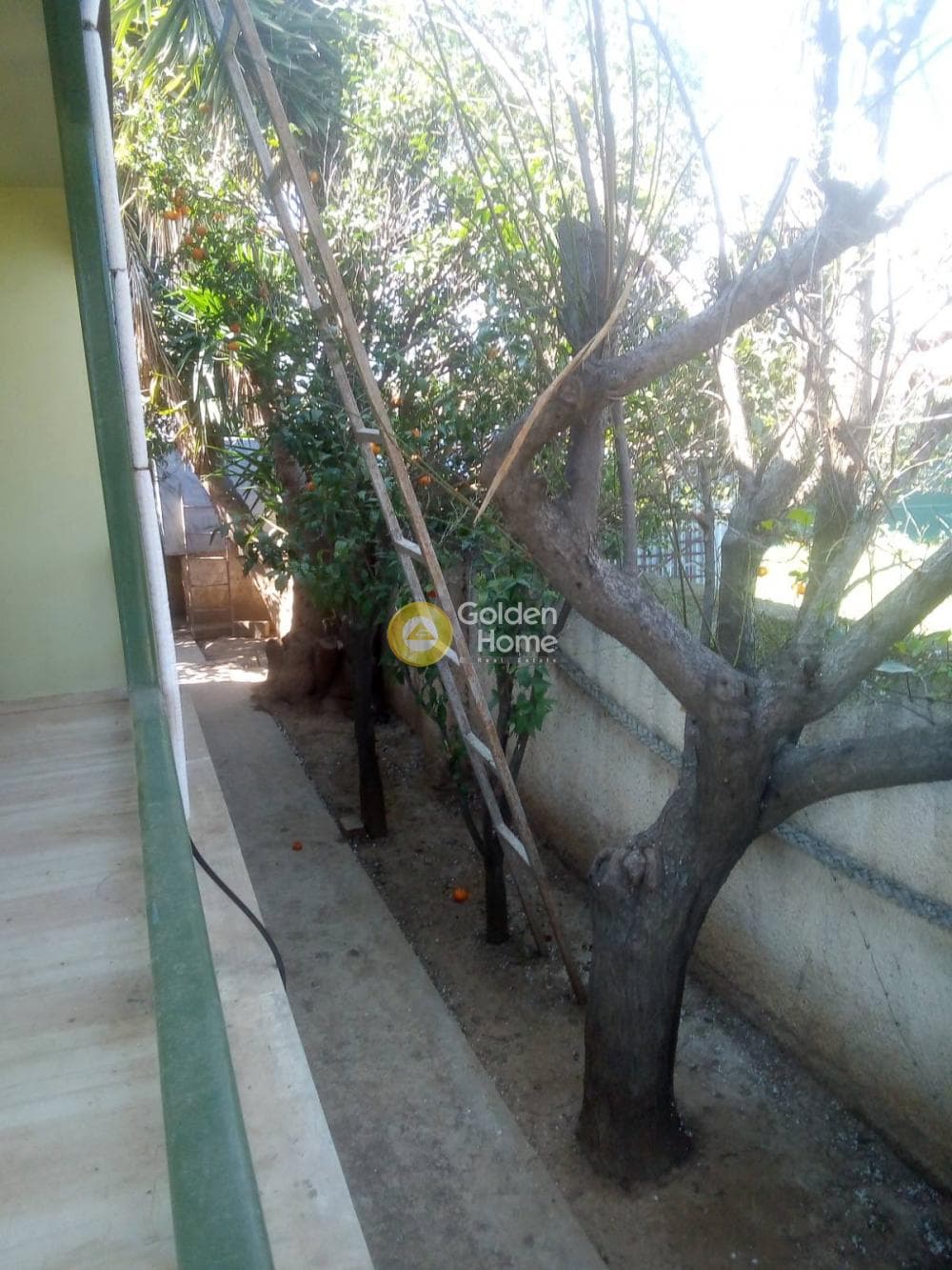 House in Ikismos Aiolos, Rafina — Photo 21 of 22