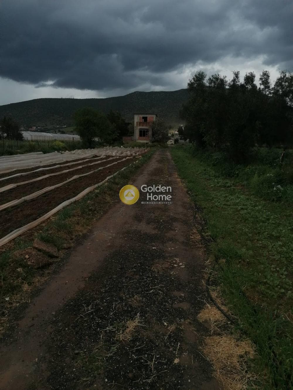 Αγροτεμάχιο στην Άγιος Παντελεήμονας, Νέα Μάκρη — Φωτογραφία 11 από 19