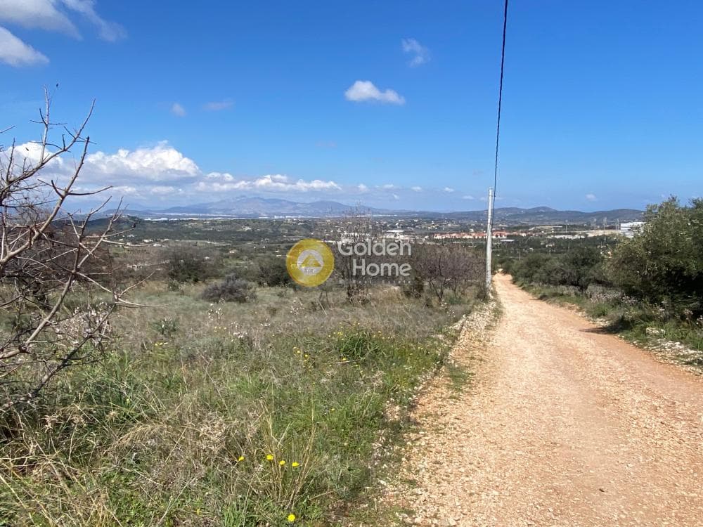 Building Plot in Limni Markopoulou, Markopoulo — Photo 1 of 6