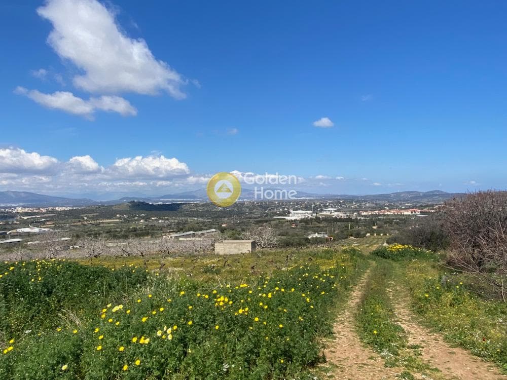 Building Plot in Limni Markopoulou, Markopoulo — Photo 5 of 6