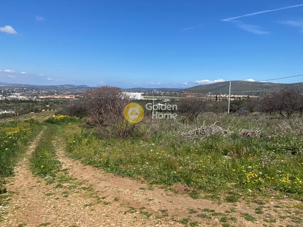 Building Plot in Limni Markopoulou, Markopoulo — Photo 4 of 6