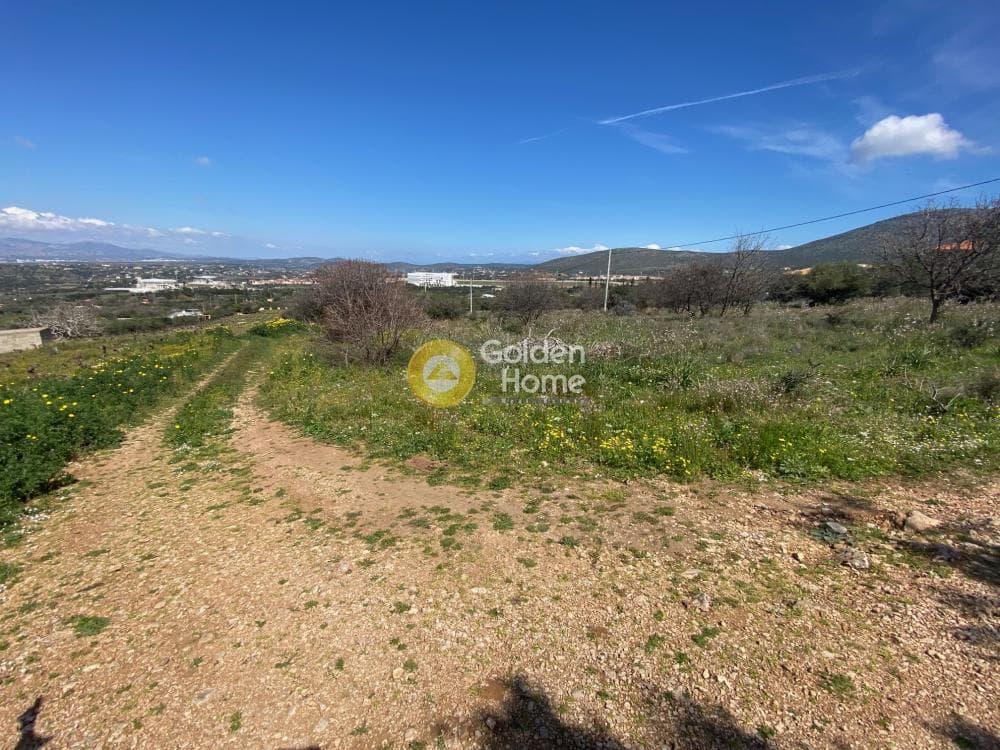 Building Plot in Limni Markopoulou, Markopoulo — Photo 3 of 6