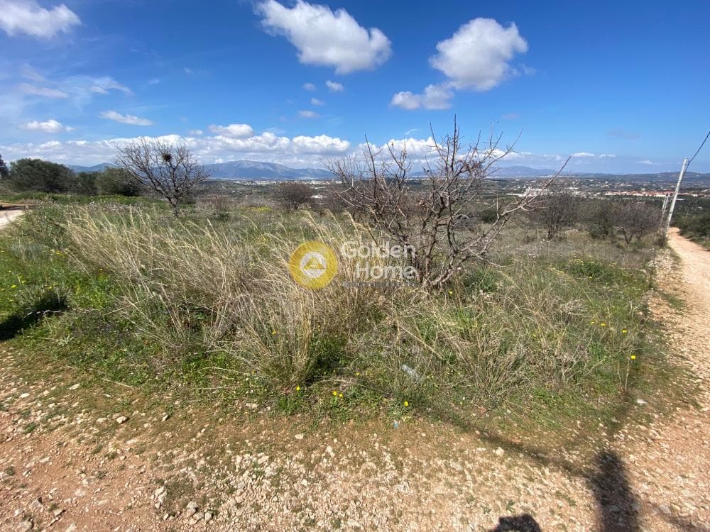 Building Plot in Limni Markopoulou, Markopoulo — Photo 2 of 6
