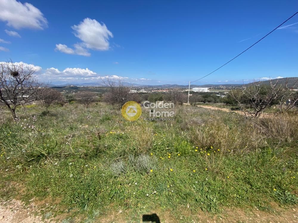 Building Plot in Limni Markopoulou, Markopoulo — Photo 6 of 6