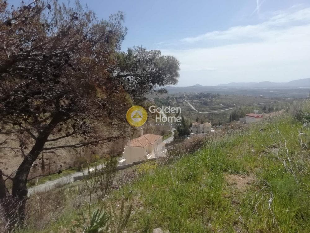Οικόπεδο στην Ντράφι, Πικέρμι — Φωτογραφία 13 από 27