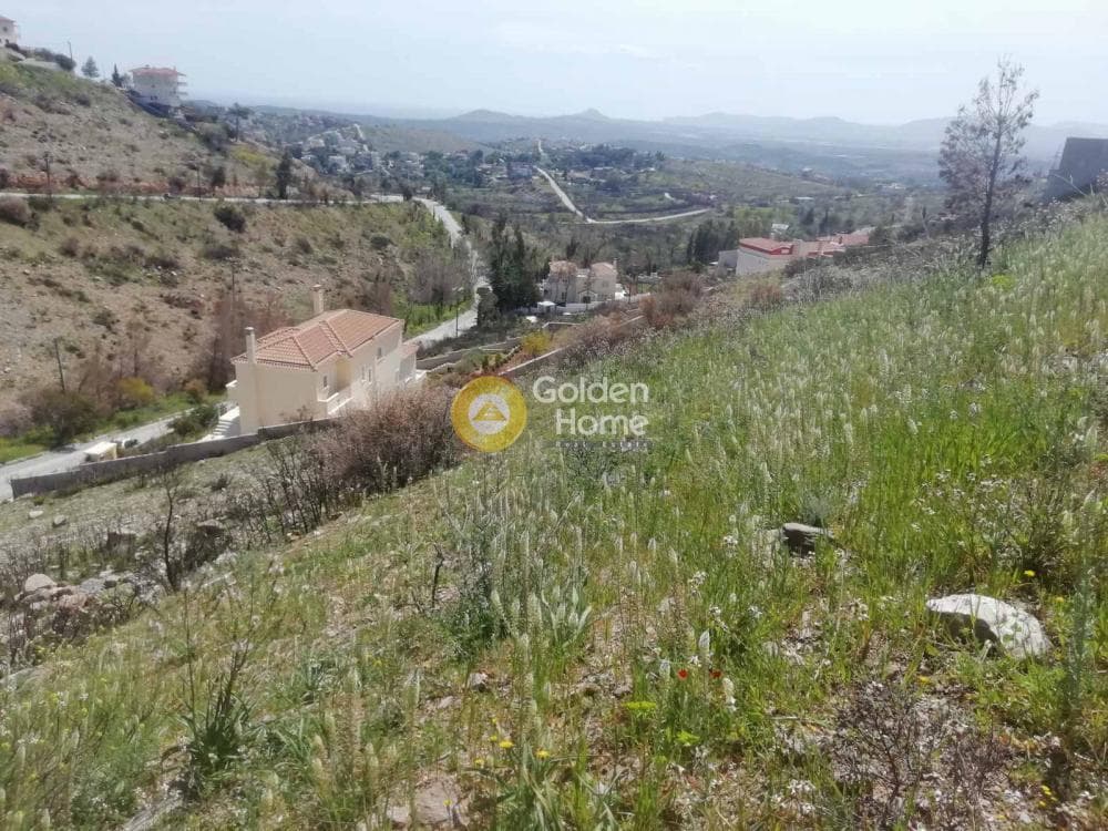 Οικόπεδο στην Ντράφι, Πικέρμι — Φωτογραφία 6 από 27