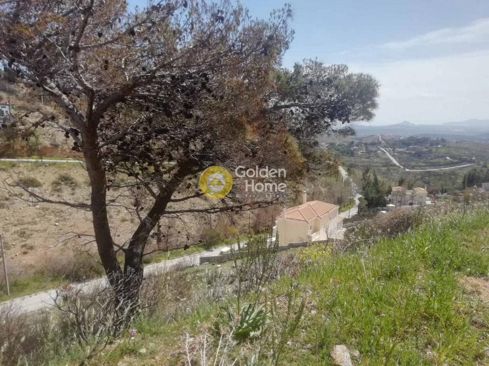 Οικόπεδο στην Ντράφι, Πικέρμι — Φωτογραφία 20 από 27