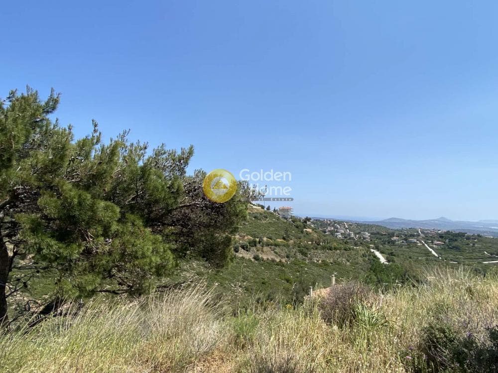 Οικόπεδο στην Ντράφι, Πικέρμι — Φωτογραφία 23 από 27