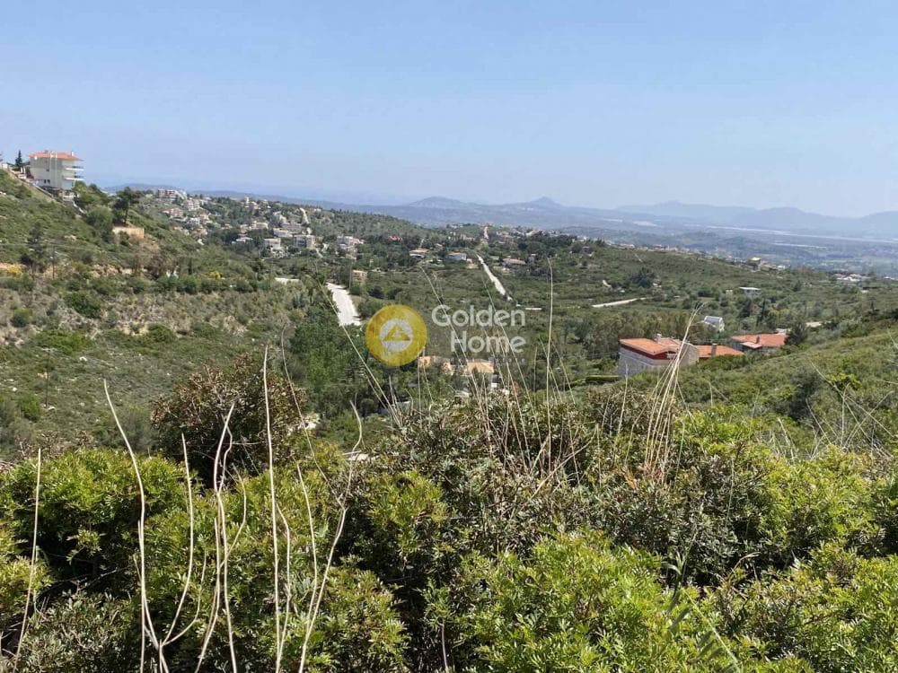 Οικόπεδο στην Ντράφι, Πικέρμι — Φωτογραφία 4 από 27