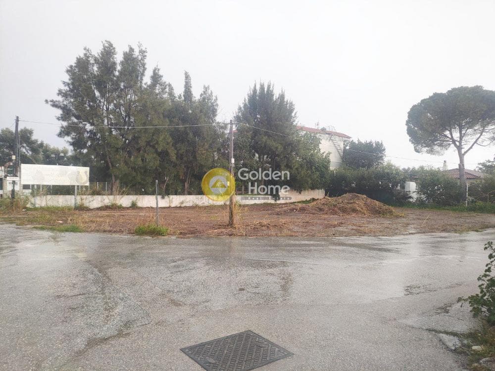 Αγροτεμάχιο στην Άγιος Παντελεήμονας, Νέα Μάκρη